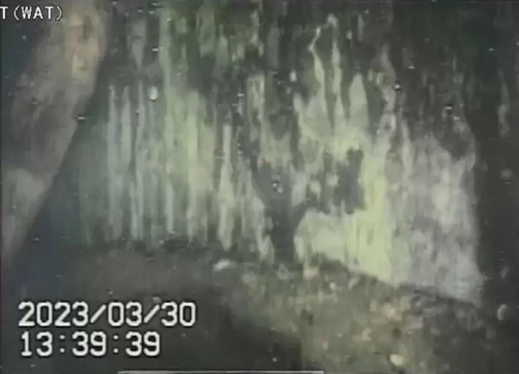 Robotul trimis la reactorul de la Fukushima se întoarce cu vești proaste