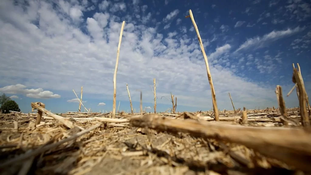 S-a stabilit un record în lume nu a fost niciodată atât de cald ca săptămâna trecută