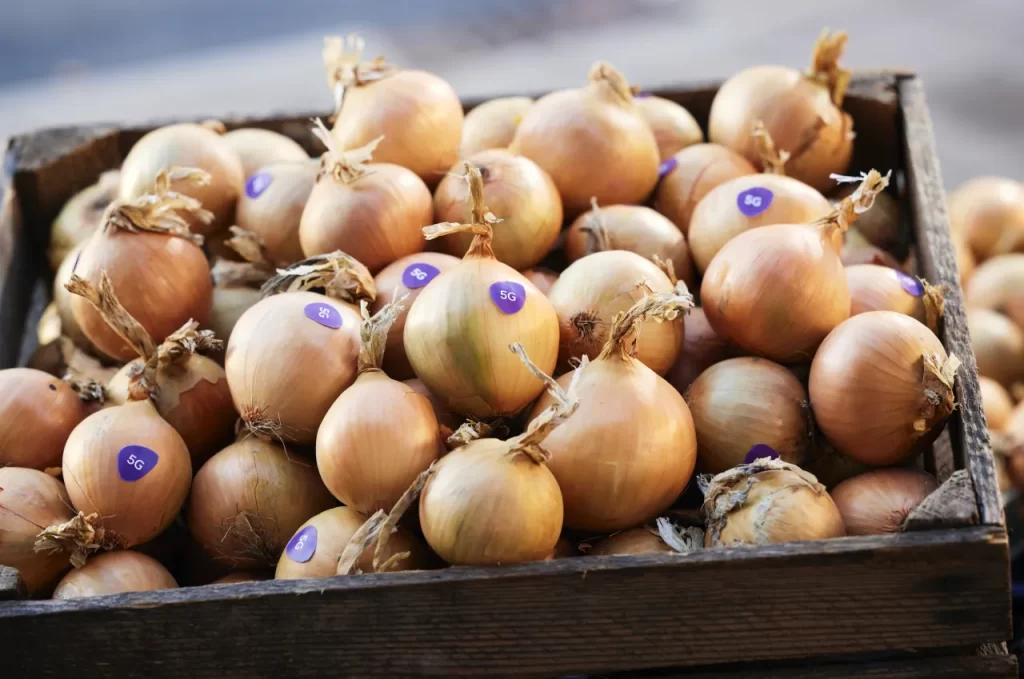 Ceapa 5G: cum a devenit o legumă mai bună și mai ecologică cu ajutorul inteligenței artificiale!