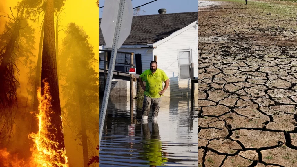 După un octombrie record de căldură, ar putea urma un nou an record de căldură