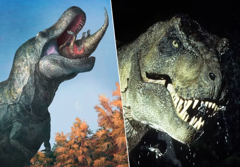 Ce a gustat T-rex înainte să moară? Oamenii de știință au răspunsul!